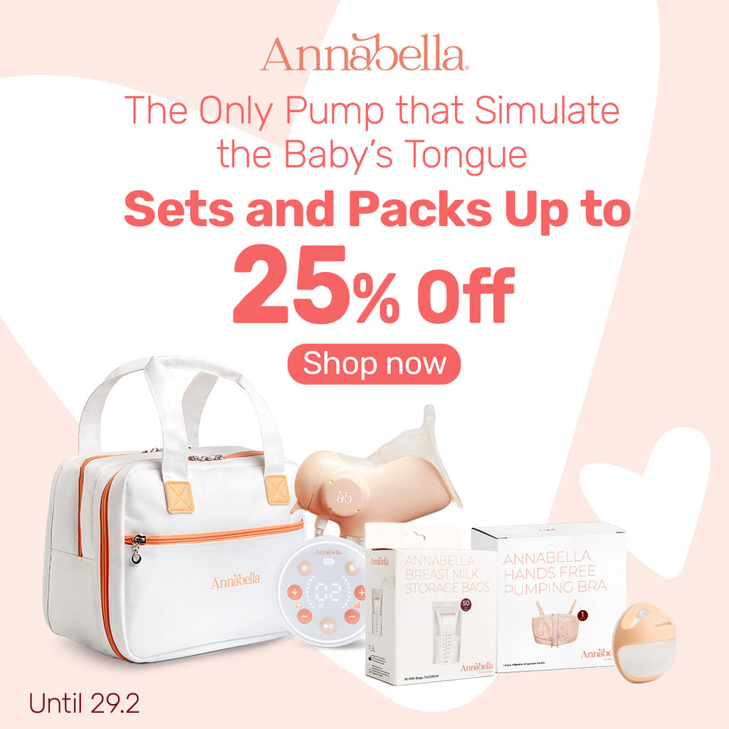 Anna bella online bags price